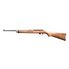 Image 2 : RUGER 10/22 UNITED WE STAND SEMI AUTO RIFLE.