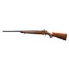 Image 1 : NICE GROUP OF TWO RIMFIRE RIFLES.