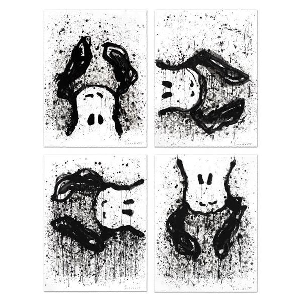 Watchdog Suite by Everhart, Tom