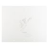 Image 1 : A Donald Duck Drawing by Animator Retta Scott Davidson.