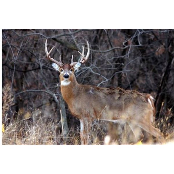 West Texas Hunt On Private Ranch