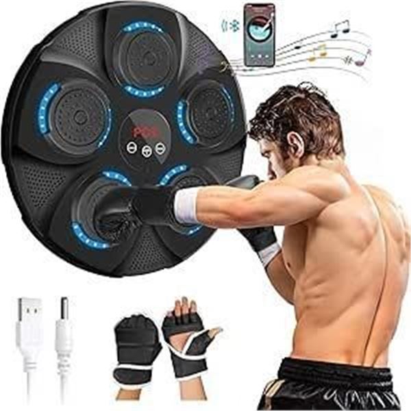 Music Boxing Machine for Adults and Kids,Wall Mounted Boxing Punching Pad with 9 Modes, Musical Boxi