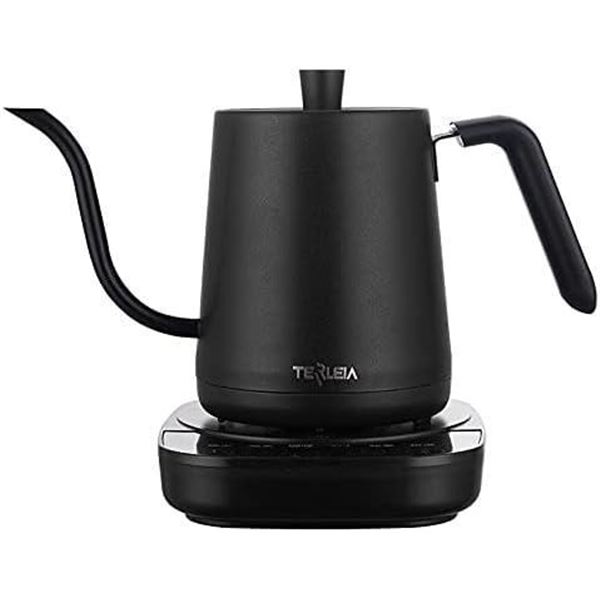 Electric kettle with precise temperature control