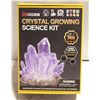 Image 1 : CRYSTAL GROWING SCIENCE KIT