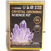 Image 1 : CRYSTAL GROWING SCIENCE KIT