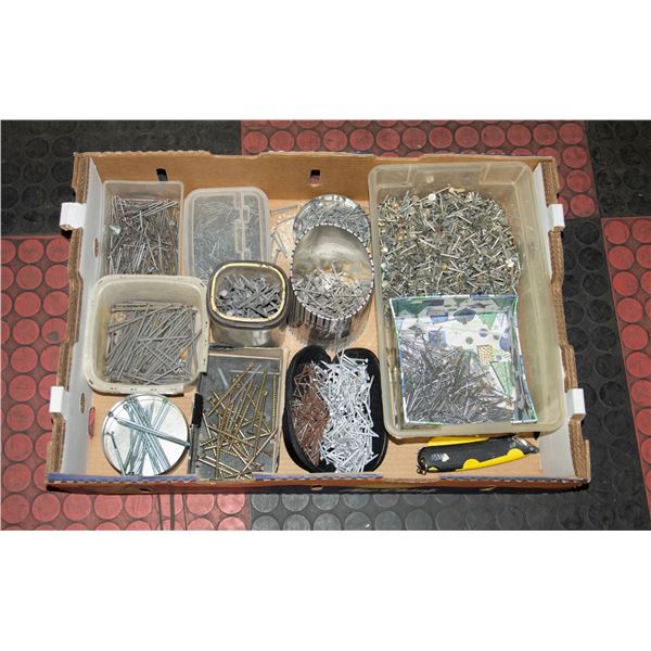 LG TRAY ASST NAILS ESTATE