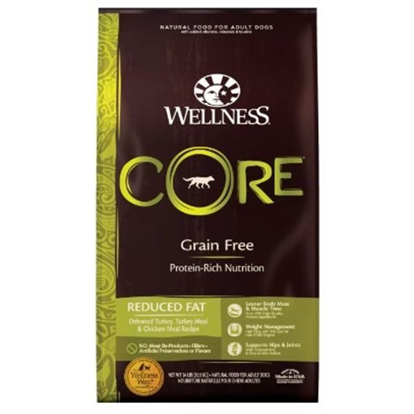 10.9KG BAG OF WELLNESS CORE GRAIN FREE DOG FOOD