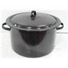 Image 1 : LARGE POT WITH CANNING INSERT