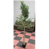Image 1 : NEW CROSOFMI FAUX 7' OLIVE TREE W/ OLIVES