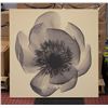 Image 1 : LARGE CANVAS PRINT X-RAY OF A PEONY