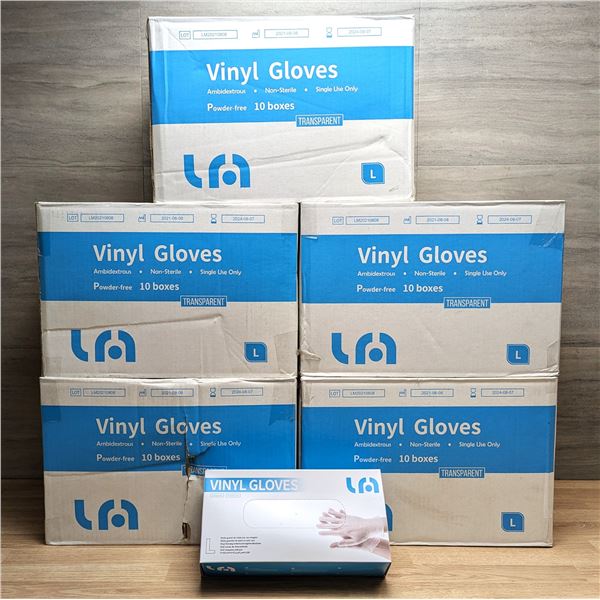 Powder Free Transparent Vinyl Gloves, Size Large - Lot of 5000 (5 Cases) | AK-3/CC5