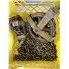 Image 1 : 1 TON CHAIN HOIST WITH CRATE