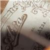 Image 2 : ARIA 12 STRING CLASSIC ACOUSTIC GUITAR IN CARRY BAG