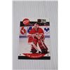 Image 2 : (500+) Pro Set 1990-91 Goalie Hockey Cards - Assorted
