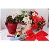 Image 3 : Faux Poinsettia, Santa Wall Decor - Assorted, Christmas Gift Card Tins, Misc.