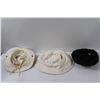 Image 2 : (3) Hats - One Size Fits All