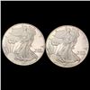 [2] 2010-2011 American Silver Eagle GEM PROOF