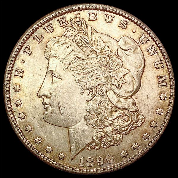 1899 Morgan Silver Dollar CHOICE AU