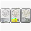 Image 2 : [3] 1998-2021 Silver Eagle NGC MS68/70