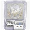Image 2 : 2006-W Silver Eagle ICG PR69 DCAM