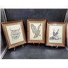 Image 1 : Framed & Signed Nature Prints by Steve Carter