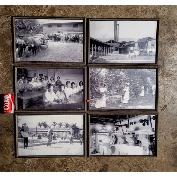 6 Framed Vintage Photographs