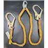 Image 1 : Protecta Harness