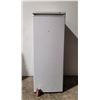 Image 1 : Tall Mini Freezer