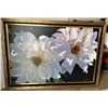 Image 1 : Delightful Dahlias by Brian Davis
