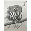 Image 1 : John Paul Lavand "Saw-Whit Owl" Offset Lithography 154/200 COA Frame: 12.5x9.5"