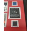 Image 2 : Nascar Jeff Gordon Limited Edition Race Used Sheet Metal & Tire - Hendrick Motorsports