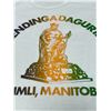 Image 5 : Vintage Icelandic Islendingadagurinn Gimli Manitoba T-Shirt (see all photos for condition)