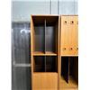 Image 5 : Canadian Teak Modular Wall Unit - see all photos
