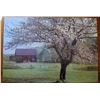 Image 1 : BARN AND TREE 2500PC PUZZLE, 100% COMPLETE