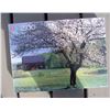 Image 2 : BARN AND TREE 2500PC PUZZLE, 100% COMPLETE