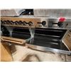 Image 4 : Phoenix Commercial Stove - propane