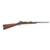 Image 1 : Springfield Model 1873 Trapdoor SRC .45-70