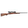 Image 1 : DWM Argentine M1909 Custom Mauser 6.5x55