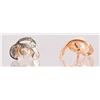 Image 3 : Mikimoto Pearl Earrings With Case