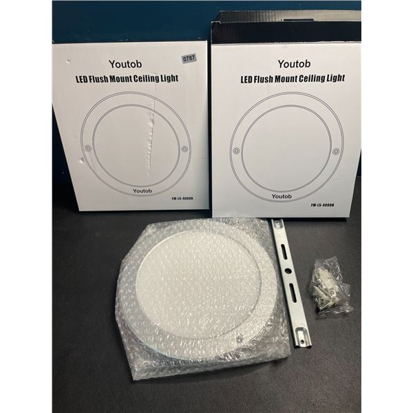 2 LED Flush Mount Ceiling Lights - Cool White 4000K - Brand New