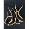 Image 1 : Bag of Antlers