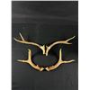 Image 2 : Bag of Antlers