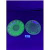Image 1 : Lot of 2 Beautiful Vintage Uranium Glass Dishes