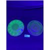 Image 2 : Lot of 2 Beautiful Vintage Uranium Glass Dishes