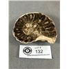 Image 1 : Ammonite Fossil Morocco Retails $600