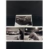 Image 1 : Lot of 3 2004 large Photographs of Vancouver Canadians/Nat Bailey Stadium