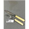 Image 1 : 19th Century Ivory Knife and Fork 1860s