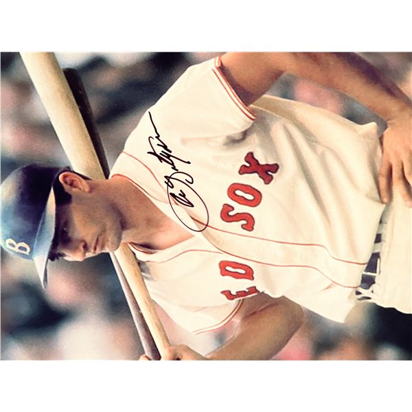 Boston Red Sox Carl Yastrzemski signed photo