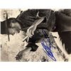 Image 1 : Fistful of Dollars Clint Eastwood signed photo