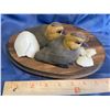 Image 3 : Sculpture by Eric Thorsen for Ducks Unlimited , Ducklings that have just hatched with eggs